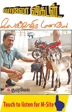 ஹலோ விகடன் - கலங்காதிரு மனமே!