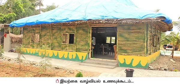 ஒரு ஏக்கர்... ரூ 3 லட்சம்! கொட்டிக் கொடுக்கும் கொய்யா!
