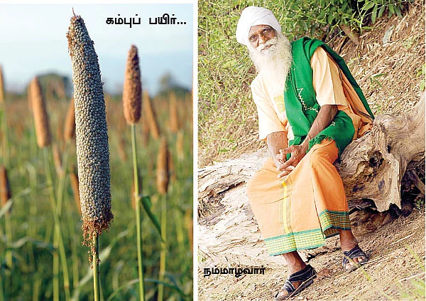 மாயா டீச்சரின் மந்திரக் கம்பளம்!