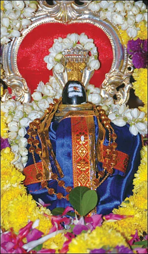 கிரக தோஷங்களும் பரிகாரங்களும்!
