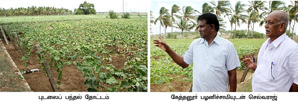 1 ஏக்கர்...6 மாதம்...ரூ.2,25,000