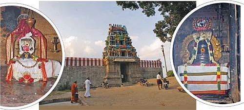 திருப்பட்டூர் அற்புதங்கள்!
