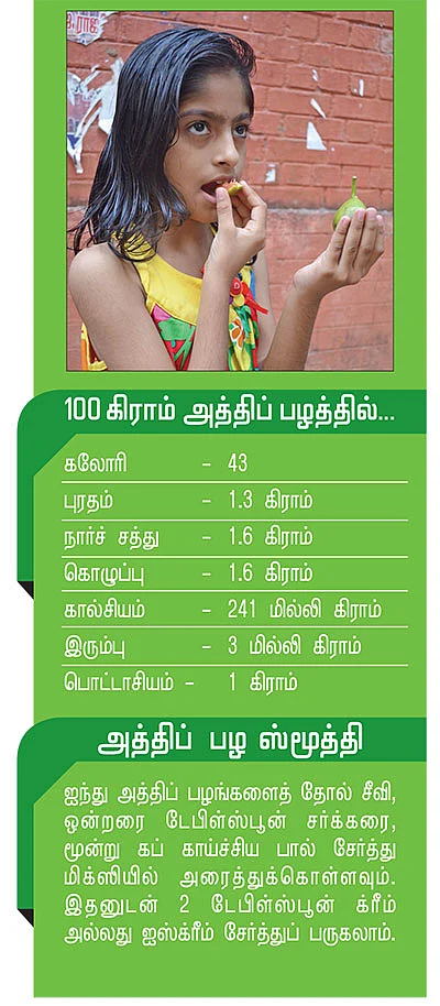 அத்தனையும் தரும் அத்திப்பழம்...