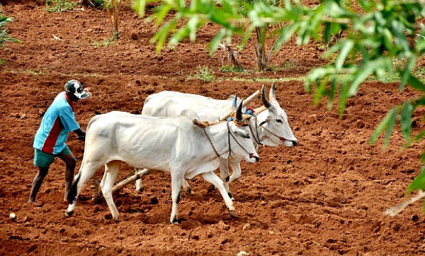 காணாமல் போகும் நிலத்தடி நீர்... காப்பாற்ற என்ன வழி?