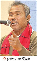 மண்ணை வளமாக்கிய எறும்புகள்!