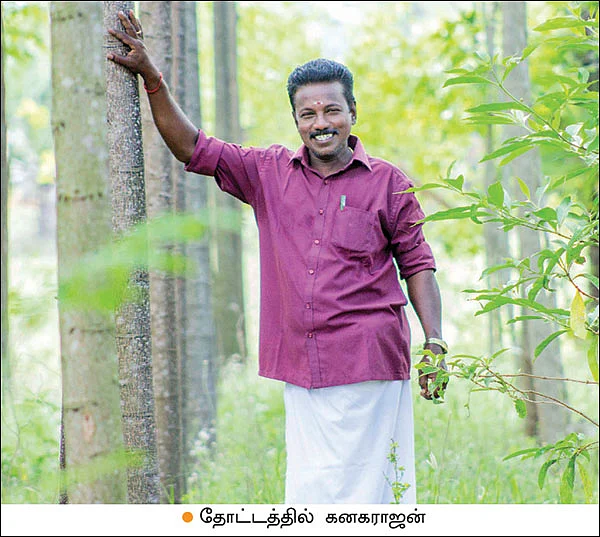 பலவகை மரச்சாகுபடி... எதிர்காலச் சேமிப்புக்கு எளிய வழி!