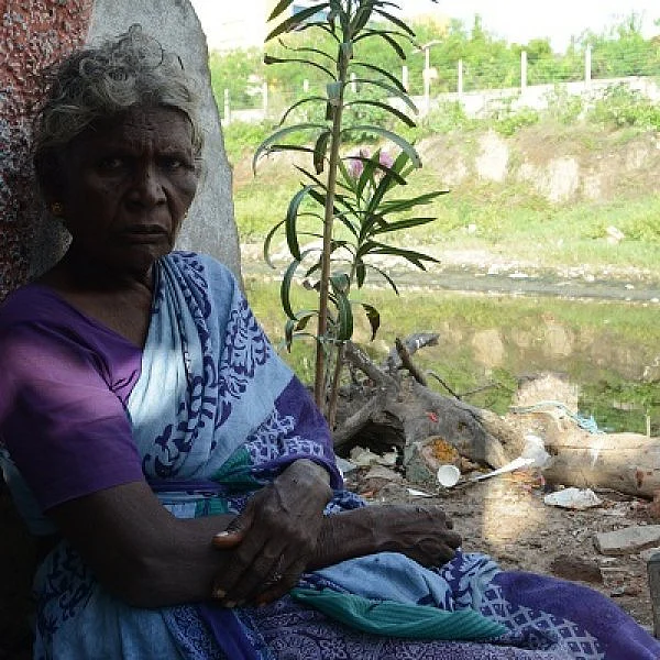 பட்டினப்பாக்கத்தில் ஒரு போட் சர்வீஸ்... அசத்தும் `கடல்காரி’ அன்னத்தாய்!
