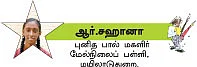 பிட்ஸ்