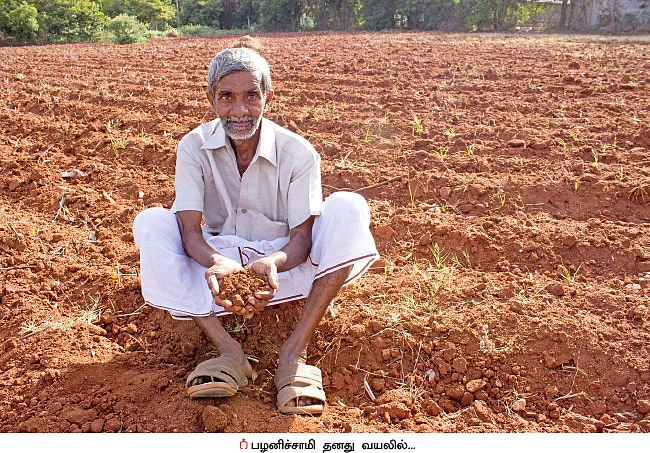 பஞ்சகவ்யா - 12
