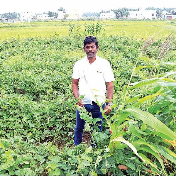 வரிசையாக வட்டப்பாத்திகள்... குறைந்த இடத்தில் குதூகல சாகுபடி!