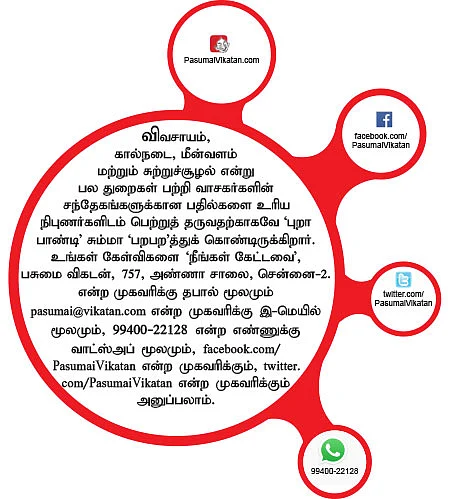 நீங்கள் கேட்டவை: நாற்று விட்டு நட்டால் நல்ல லாபம்!