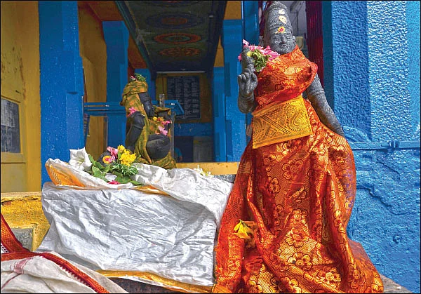 செவ்வரளிச் செடியில் தோன்றிய சிதம்பரேஸ்வரர்