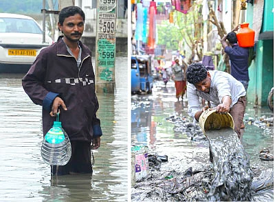 மீண்டும் மழை நோய்கள்!