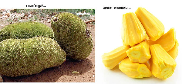 மாயா டீச்சரின் மந்திரக் கம்பளம்!