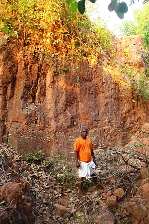 100 ஏக்கர் ஆரண்யா வனம்: 'தனி ஒருவன்' உருவாக்கிய காடு! #WhereIsMyGreenWorld