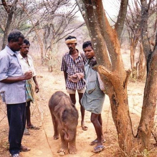 வனத்தை காப்பவர்களின் வாழ்க்கை எப்படி இருக்கிறது? அரசின் கவனத்துக்கு..!