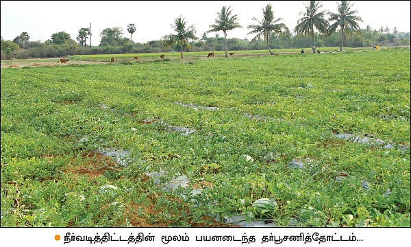 உளிக் கலப்பையில் உன்னத மகசூல்... வழிகாட்டும் வேளாண் நிறுவனம்!