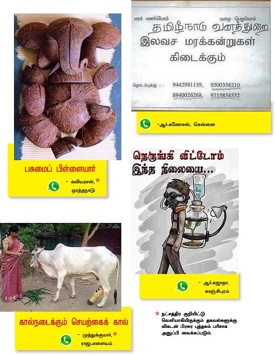 வாட்ஸ்அப் பராக்... பராக்!