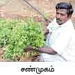 50 சென்ட்... 45 நாள்... 42 ஆயிரம்...