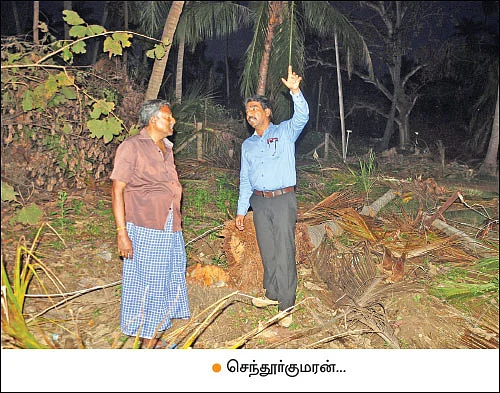 தென்னை மரங்களுக்குத் தேவையான தொழில்நுட்பம்! - களமிறங்கிய பசுமை விகடன்...
