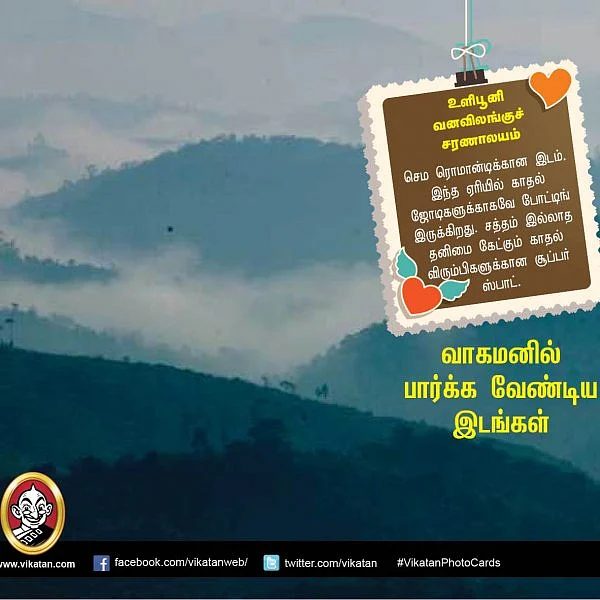வாகமன்... அக்கம் பக்கம் யாருமில்லா பூலோகத்துக்கு ஒரு டூர்! ஊர் சுத்தலாம் வாங்க...!