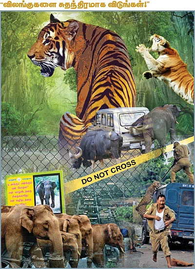 2015 டாப் 10 பிரச்னைகள் - ஊருக்குள் வரும் வனவிலங்குகள்
