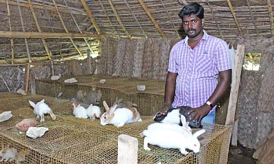 என் செல்லமே...