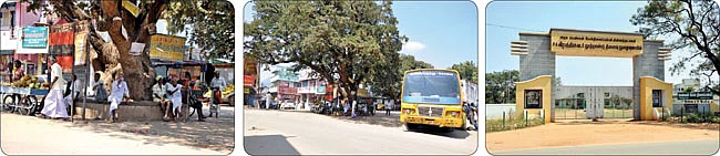 "கைப்பந்து ஆடத் தெரியாத ஆள் இல்லை!"