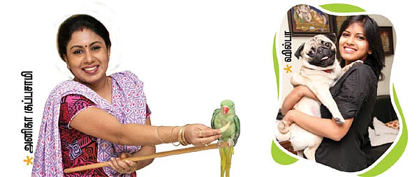 நிற்பதுவே... நடப்பதுவே... பறப்பதுவே...