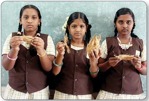 வாழைத் தண்டு பொரியலில் பாடம்!