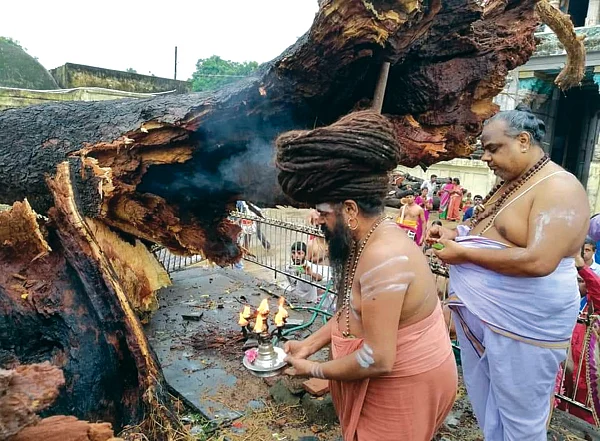 மினி மீல்ஸ்