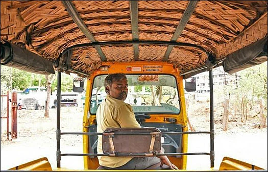 பூச்சிகளும் நம் நண்பர்களே..! - 2.0 - பூச்சிகள் பலவிதம்... ஒவ்வொன்றும் ஒருவிதம்!