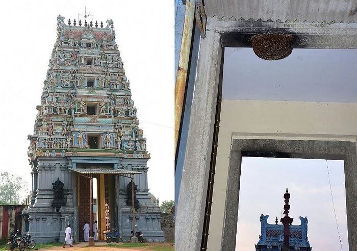 பக்தர்களை மிரட்டும் ராட்சதத் தேன்கூடு! அலட்சியம் காட்டும் அதிகாரிகள்