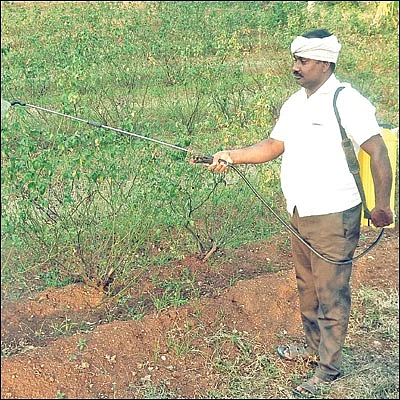 இயற்கை உரம் தயாரிக்க உதவும் இ.எம்!