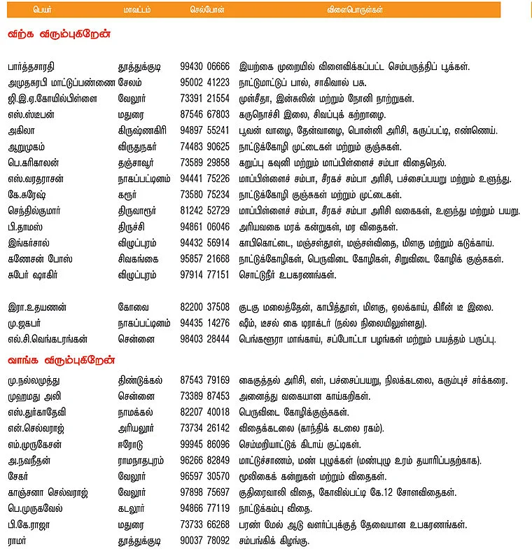 பசுமை சந்தை