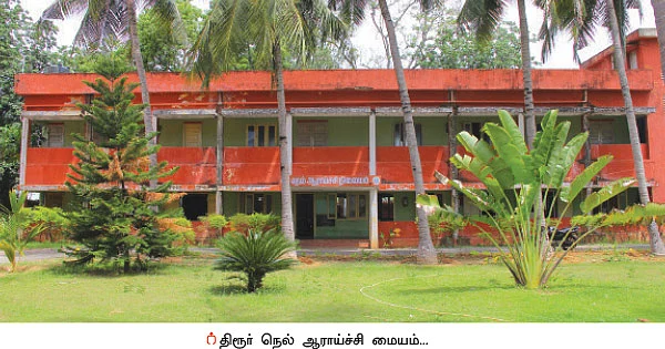 அதிக மகசூல் தரும் மானாவாரி ரகங்கள்...