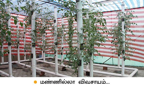 அக்ரி இன்டெக்ஸ்... மவுசு கூடிய மாடித்தோட்டம்!