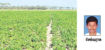 நீங்கள் கேட்டவை