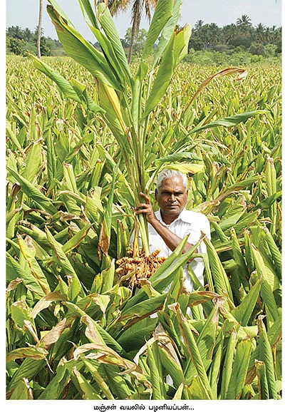 1 ஏக்கர்... 10 மாதம்... 1,40,000...
