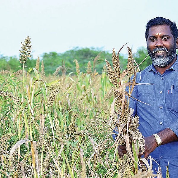 குதிரைவாலி... விதைப்பு, அறுவடை மட்டுமே... ஆடிட்டரின் அசத்தல் விவசாயம்!