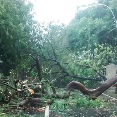 #Vardah புயல் பாதிப்பு: சீரமைப்பு பணிகள் தீவிரம்