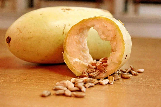 விந்தைகள் செய்யும் விதைகள்!