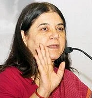 பினாயிலுக்கு பதிலாக கோமியம்: மேனகா காந்தி அறிவுறுத்தல்!