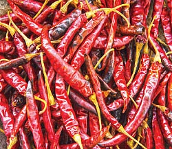 கலப்படங்களைக் கண்டறிவது எப்படி?