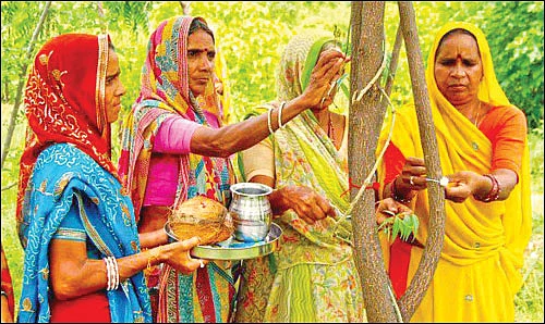 மரம் செய விரும்பு! - சுற்றுச்சூழல்