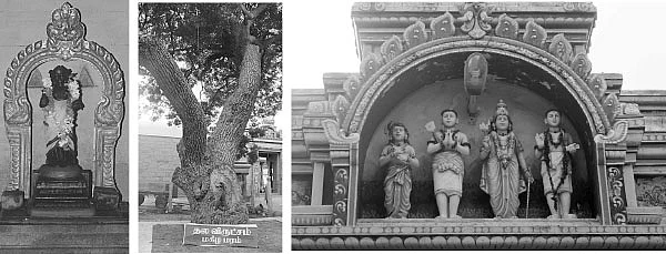 வாத நோய் தீர்க்கும் திருவாதவூர் திருத்தலம்!