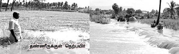 அலட்சிய அதிகாரிகள்... அலறும் விவசாயிகள்!