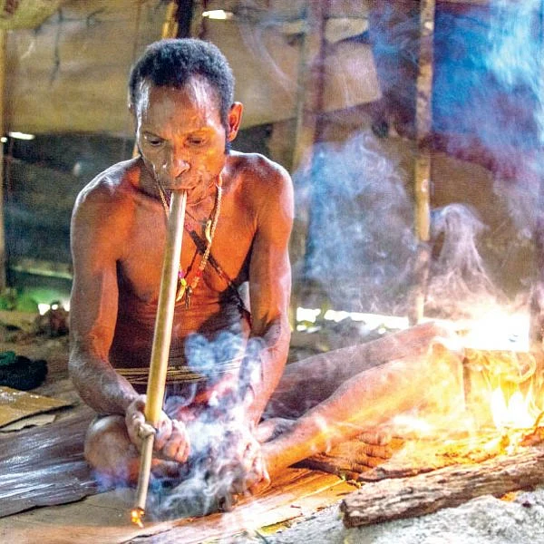 மருத்துவம் நலமா? - நிஜமும் நிழலும் - 15 - களவுபோகும் ஆதிவாசிகள் அறிவியல்!