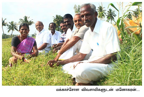 மாற்றுப் பயிராக மக்காச்சோளம்!