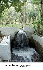 ஆயுளைக் கூட்டும் ஆரோக்கிய வனம்...